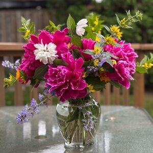 Meet your Posher, Shelley